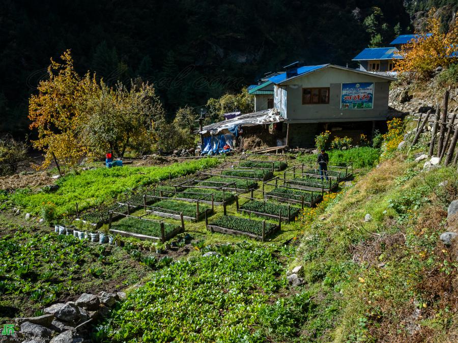 The village’s vegetable garden, on the way from Monjo to Lukla