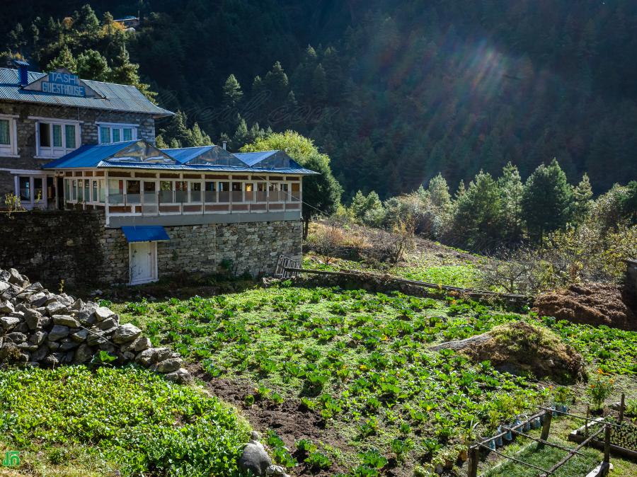 The village’s vegetable garden, on the way from Monjo to Lukla