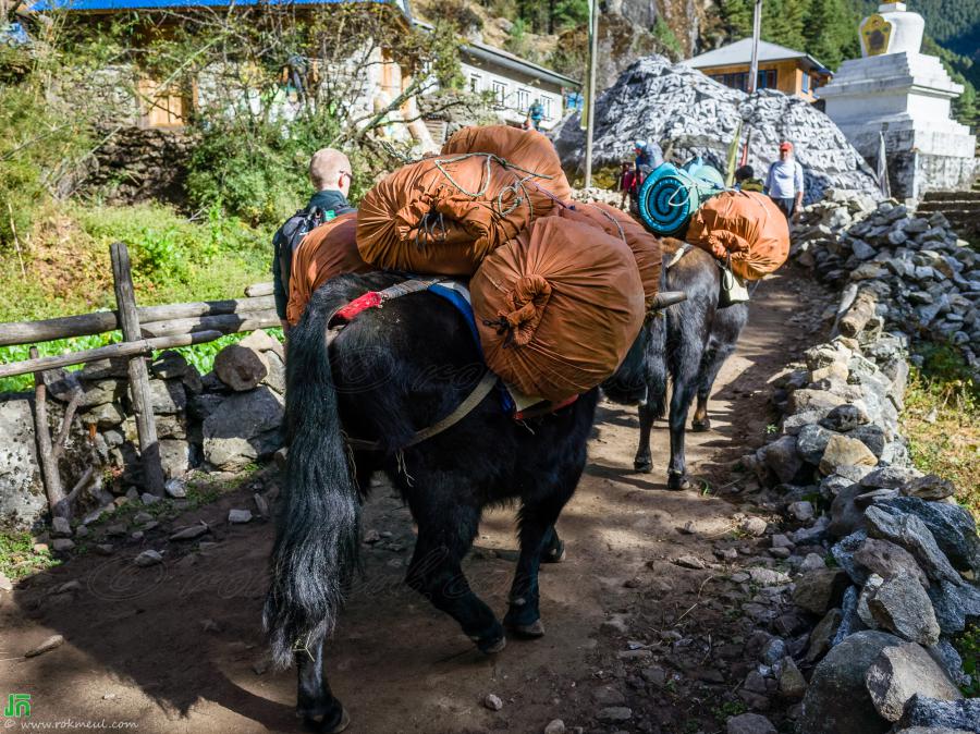 On the way from Monjo to Lukla